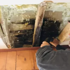 Gallery mold remediation 2